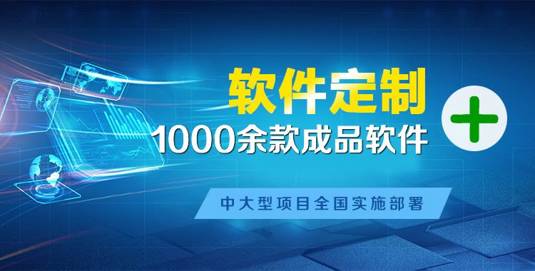 桃城软件开发